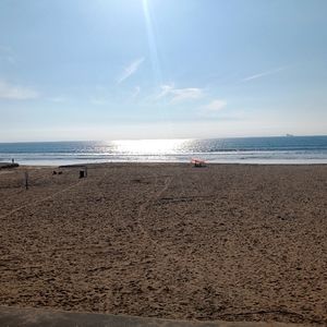 Meet your Posher, Bashiir